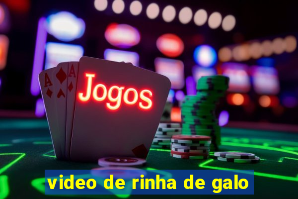 video de rinha de galo